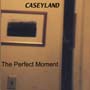 The Perfect Moment